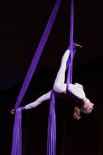 <p>
	Cirque de la Symphonie Saturday, June 14 at Summerfest</p>