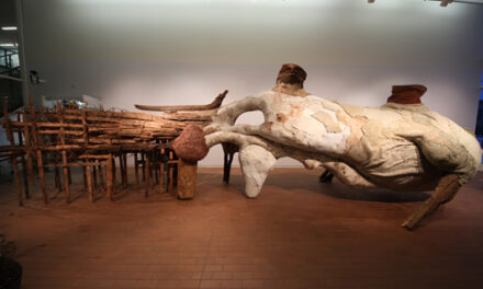 <p>
	A Beastly Installation: Henrique Oliveira at UNC Charlotte’s Projective Eye Gallery</p>