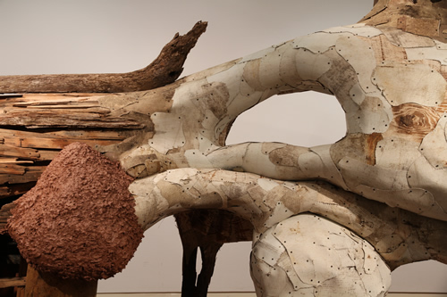 <p>
	A Beastly Installation: Henrique Oliveira at UNC Charlotte’s Projective Eye Gallery</p>